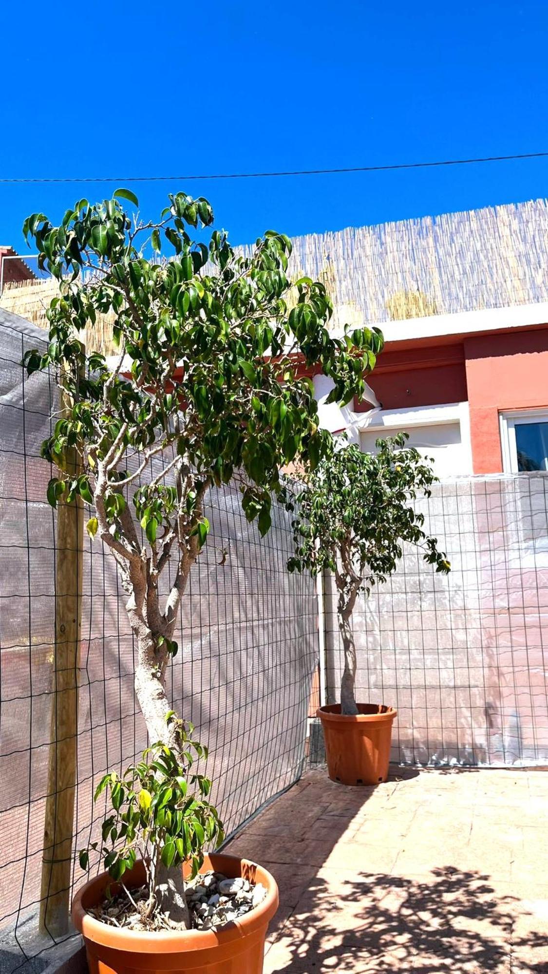 Apartamento Leyda En Marbella Exteriér fotografie